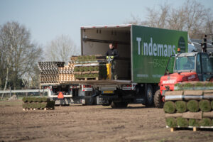 Tindemans-LKW beim Beladen von Paletten mit Rollrasen