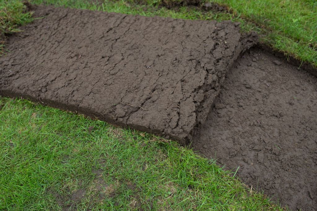 Ein Rasen mit entferntem Gras